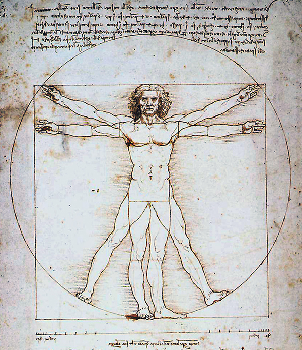 Leonardo Da Vinci Vitruvian Man Art