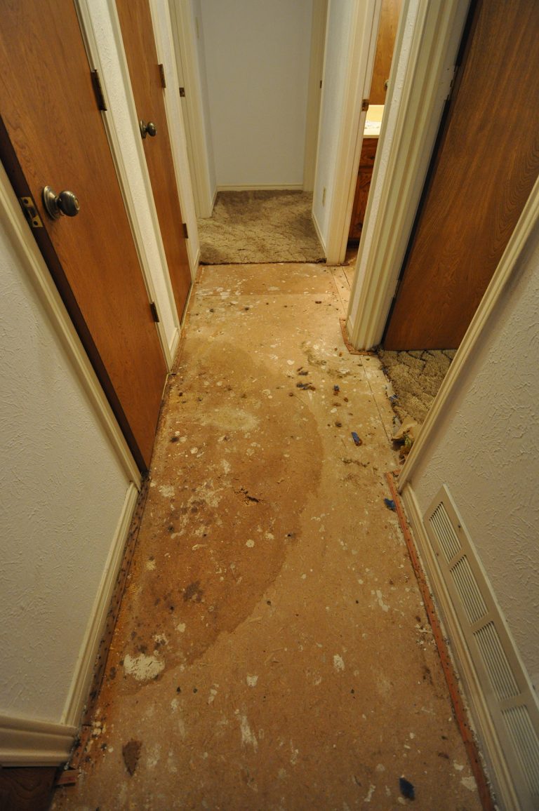 evidence of a water heater leak