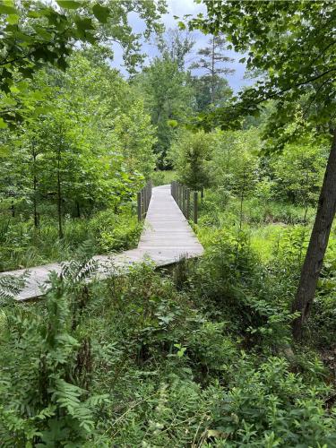 The Glenstone Boardwalk